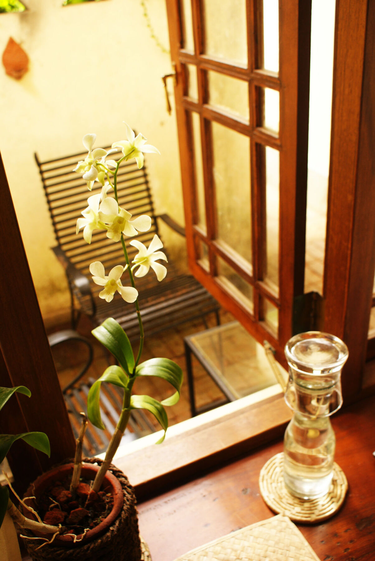 The Havelock Place Bungalow Colombo Ngoại thất bức ảnh
